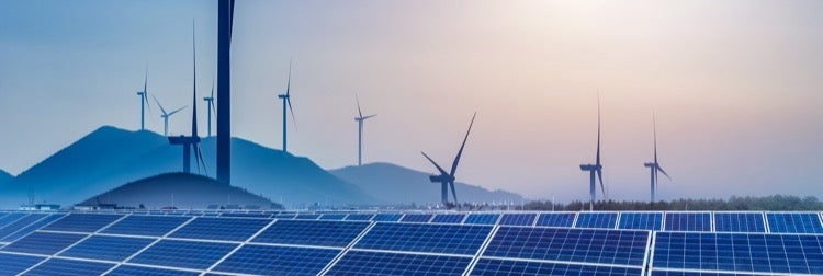 The False Choice of Renewable Energy
